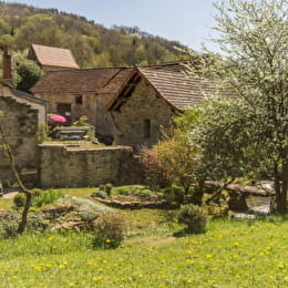 Sous la Glycine - CORMOT-VAUCHIGNON