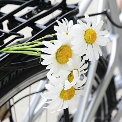 Fête du vélo à Longchamp
