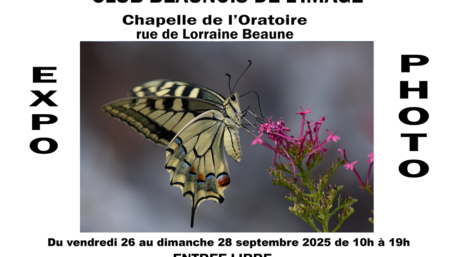 EXPOSITION PHOTOS