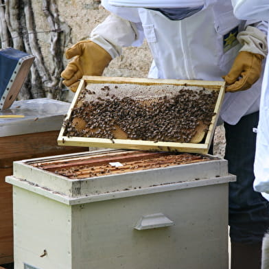 Les Ruchers et Truffières de la Douix