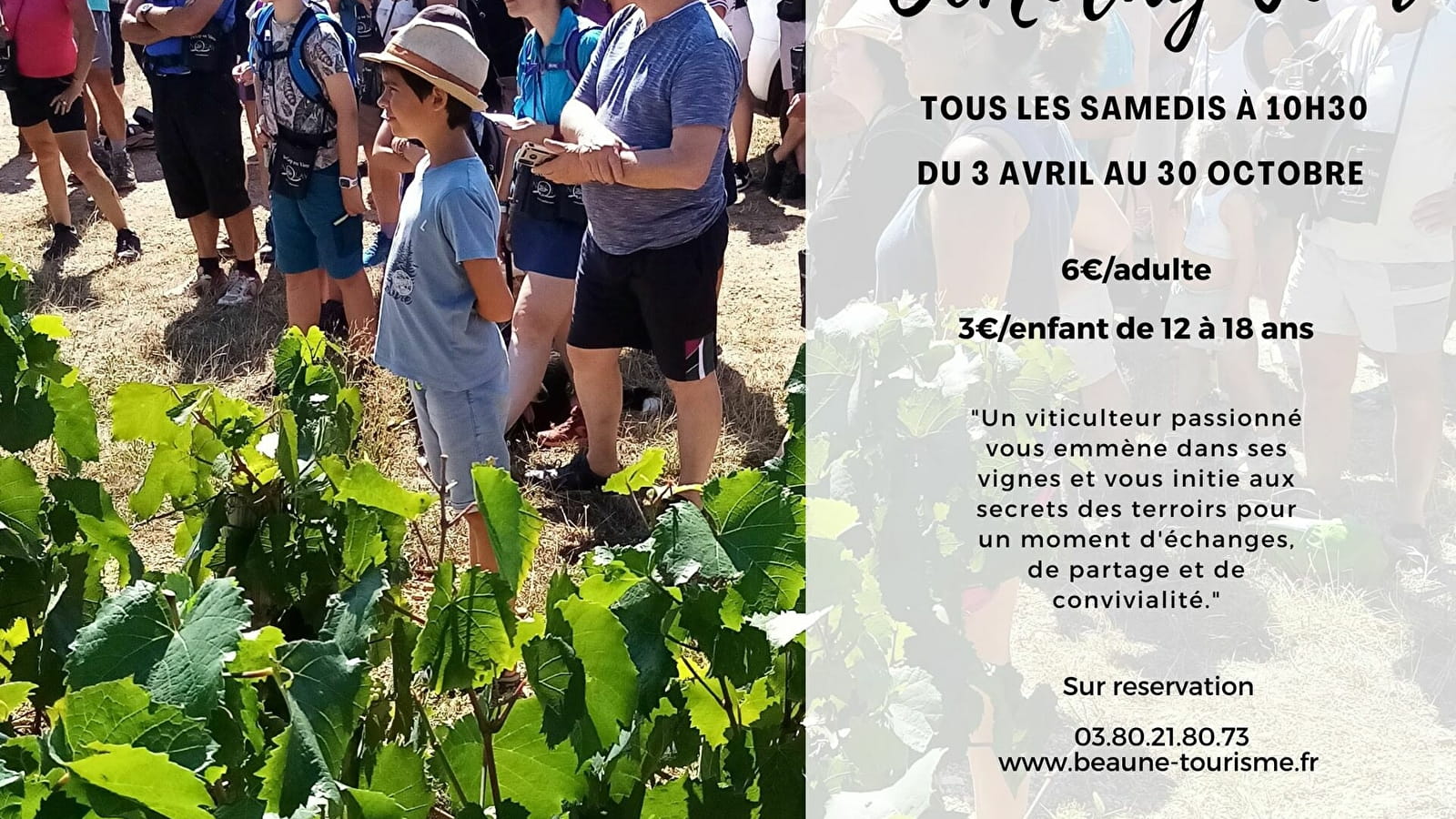 OeNolay tour - Coeur des Hautes Côtes de Beaune