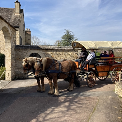 Attelage Beaune Passion - Balade 'Prestige' en calèche