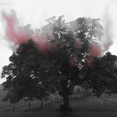 Exposition de photographies : Adélaïde Mairot