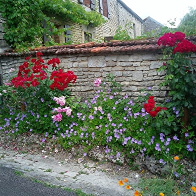 CHAUMONT-LE-BOIS