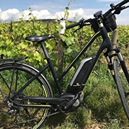 Bourgogne Randonnées - BEAUNE