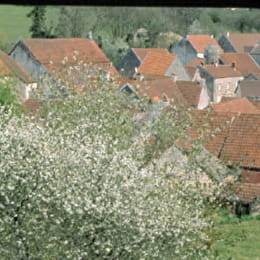Village de Salives - SALIVES
