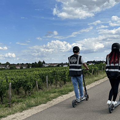 Trott’en Vigne