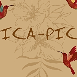 Pica-Pica - DIJON