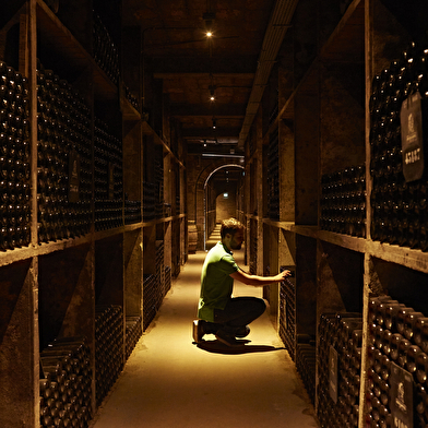 VISITE COMPLÈTE - Beaune Underground : Le plus grand réseau de caves 