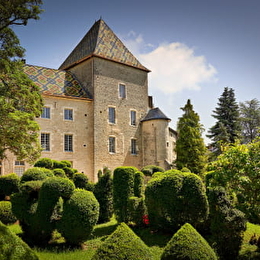 Visite dégustation spéciale Vente des Vins 2025 au Domaine du Château Philippe le Hardi - SANTENAY