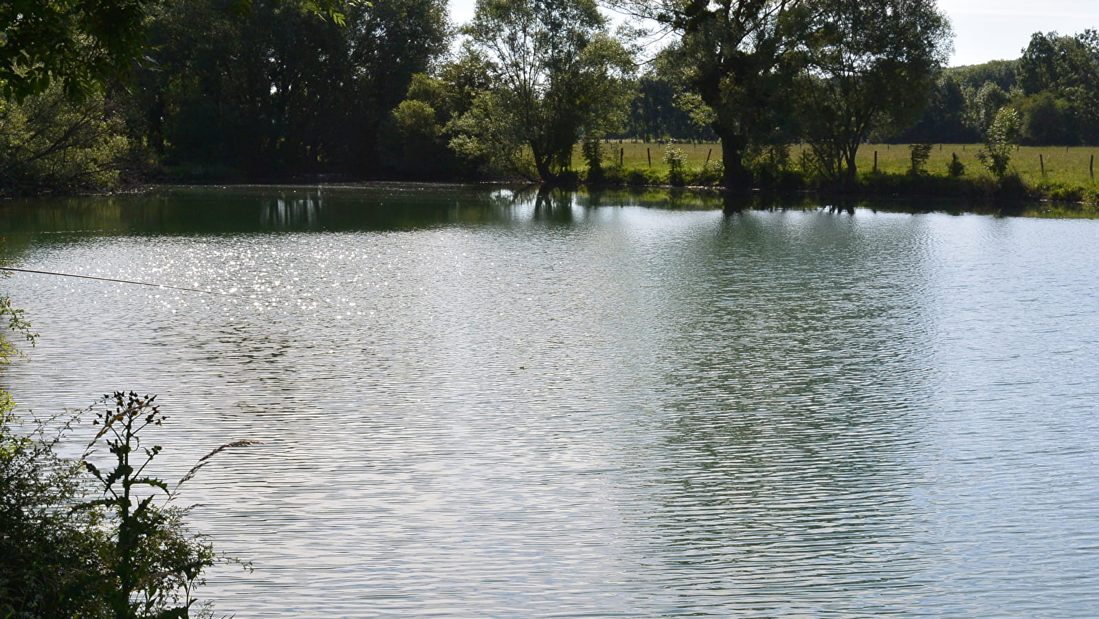 Pêche dans la Tille et l'Ignon