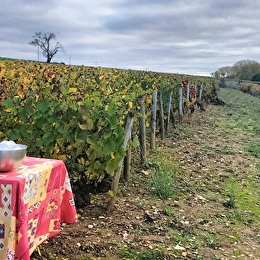Mission vigneron : l'âme d'un terroir, le défi entre vos mains - SANTENAY