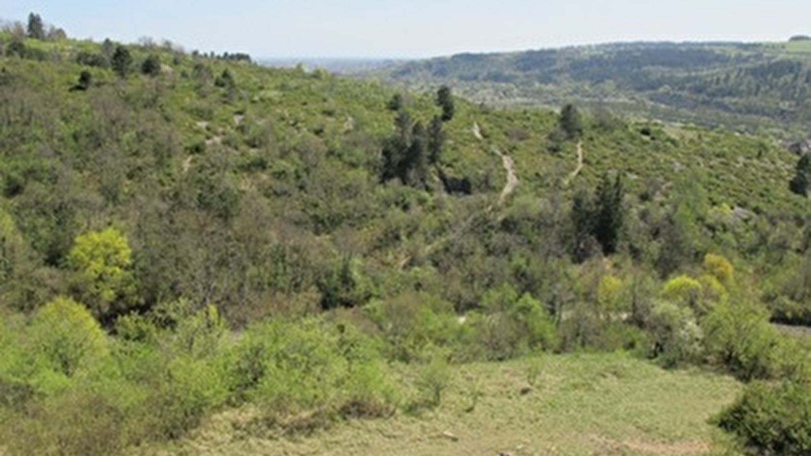 Usages et gestion de la nature : à la découverte d’un espace naturel façonné par les activités humaines