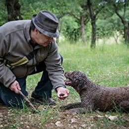 Maison aux 1000 truffes by l’Or des Valois - MAREY-LES-FUSSEY