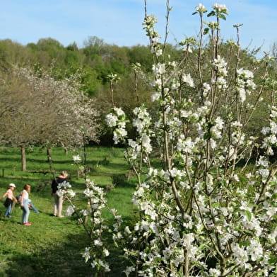 Chasse aux oeufs au château