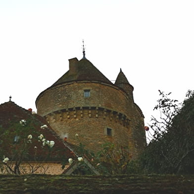 Tour de la Motte Forte