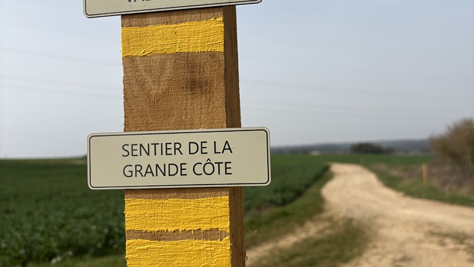 Randonnée viticole à Molesme - Domaine DANGIN