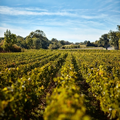 Vignobles en scène : rendez-vous « Vins et Théâtre » au Château de Saint Aubin