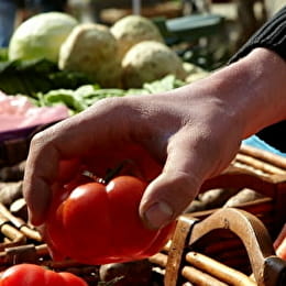 Marché de Santenay - SANTENAY