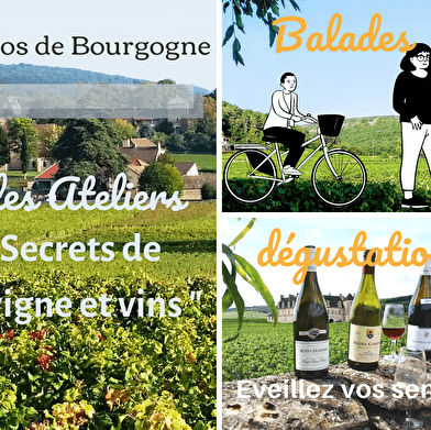 Atelier  Découverte' secrets des vins  Bourgogne'