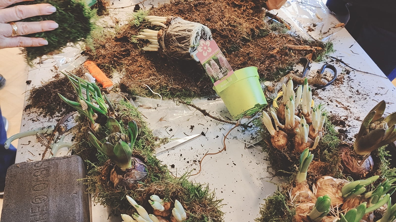 Cours d'art floral