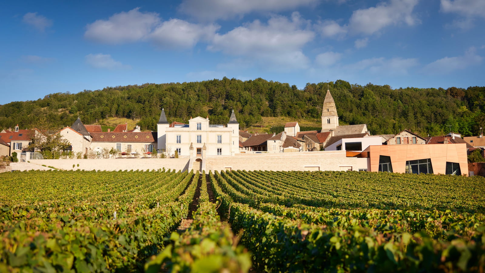 Prosper Maufoux au Château de Saint-Aubin - Dégustation & Vente au caveau
