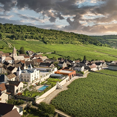 Portes ouvertes au Château de Saint-Aubin : découverte des grands vins de Prosper Maufoux