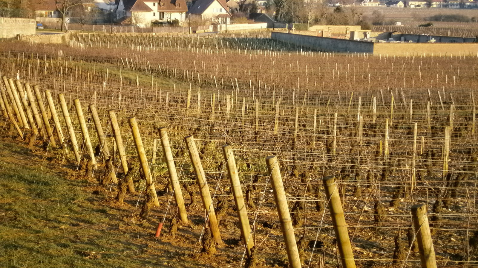 Le Clos des Mazières - Laurent Georges