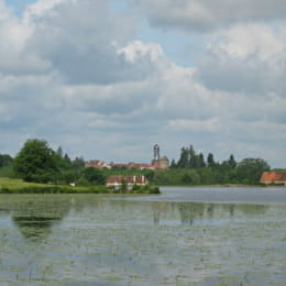 Aire de pique-nique de l'Étang Fouché - ARNAY-LE-DUC