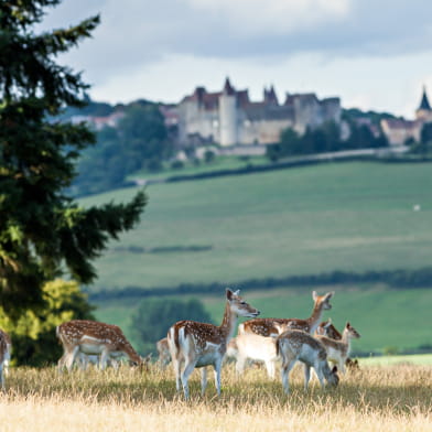 Château Sainte Sabine