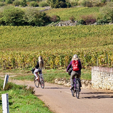 À la découverte des vignobles et des canaux de Bourgogne
