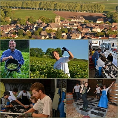 Domaine Lejeune