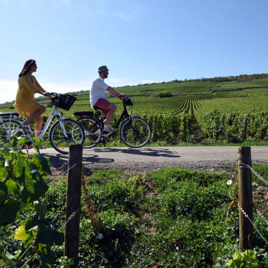 Découverte de la Bourgogne 