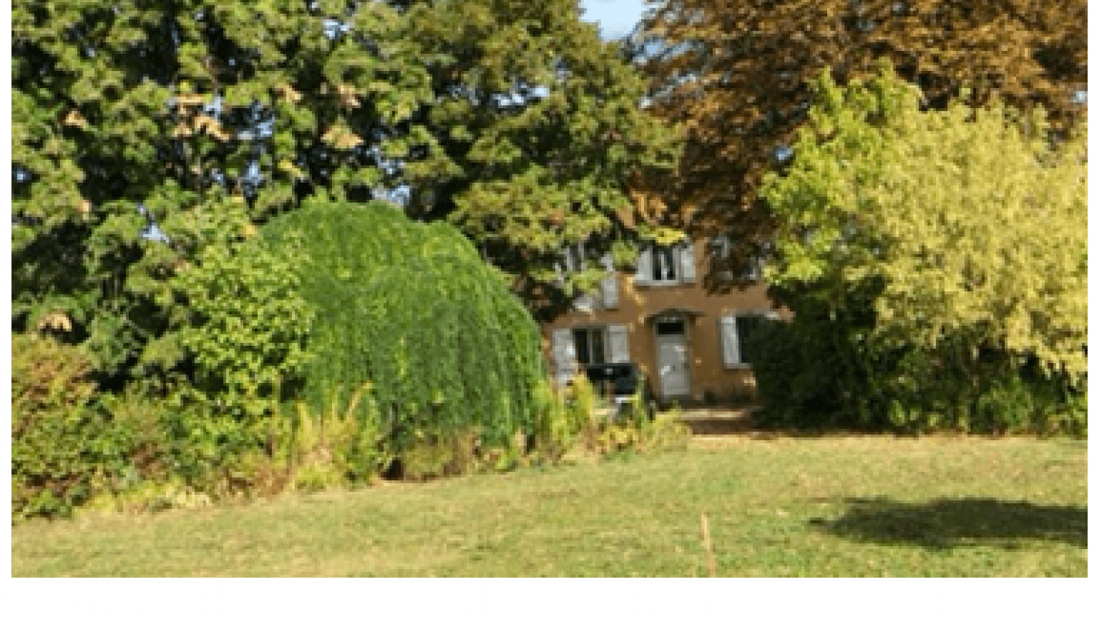 Les Tilleuls en Bourgogne