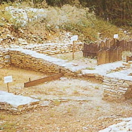 Site gallo-romain de l'Ecartelot - ARCENANT