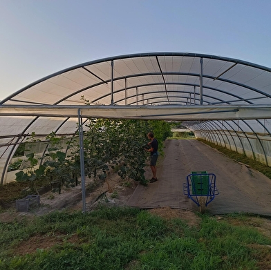 Les jardins de Longecourt