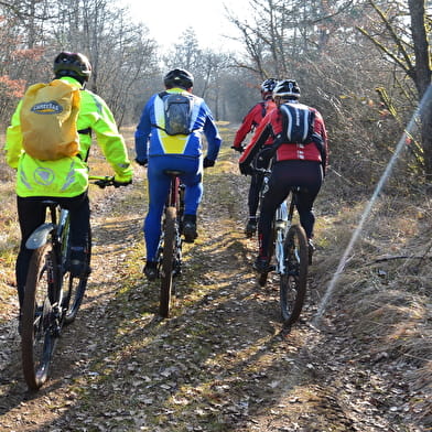 Sortie Nature - À vélo le long de l'Ignon