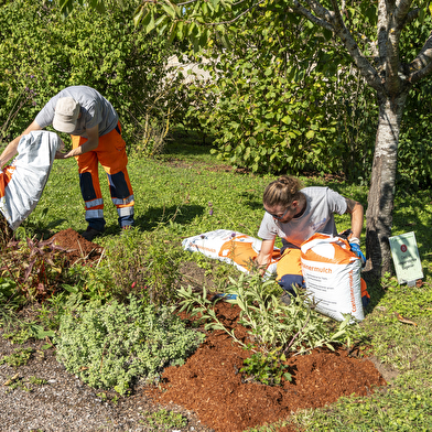CHEVIGNY-SAINT-SAUVEUR