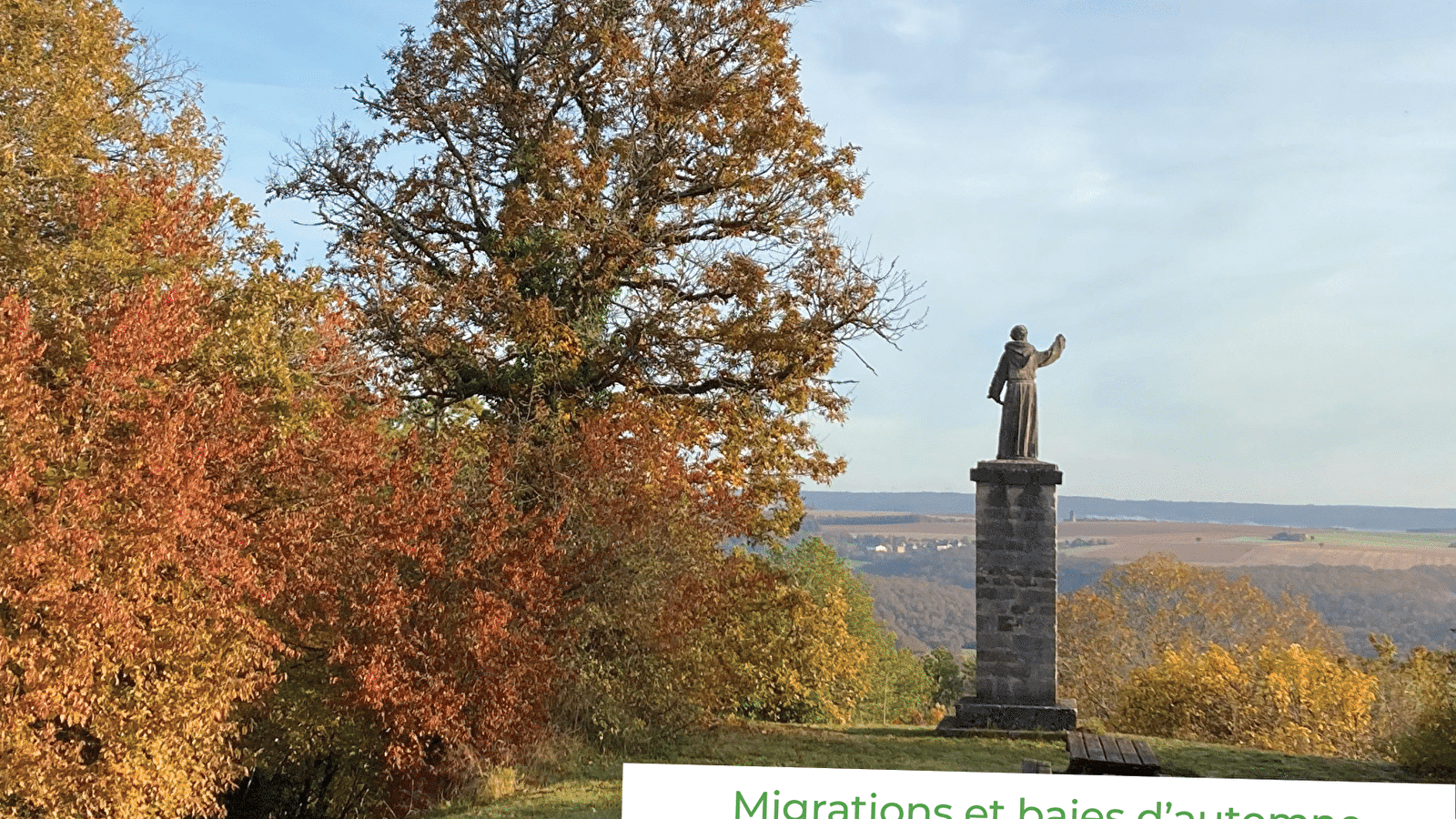 Sortie Nature : migrations et baies d'automne