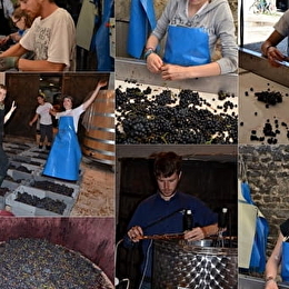 Domaine Lejeune - POMMARD