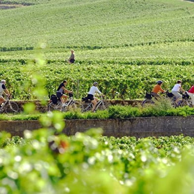 Escapade en Bourgogne à vélo