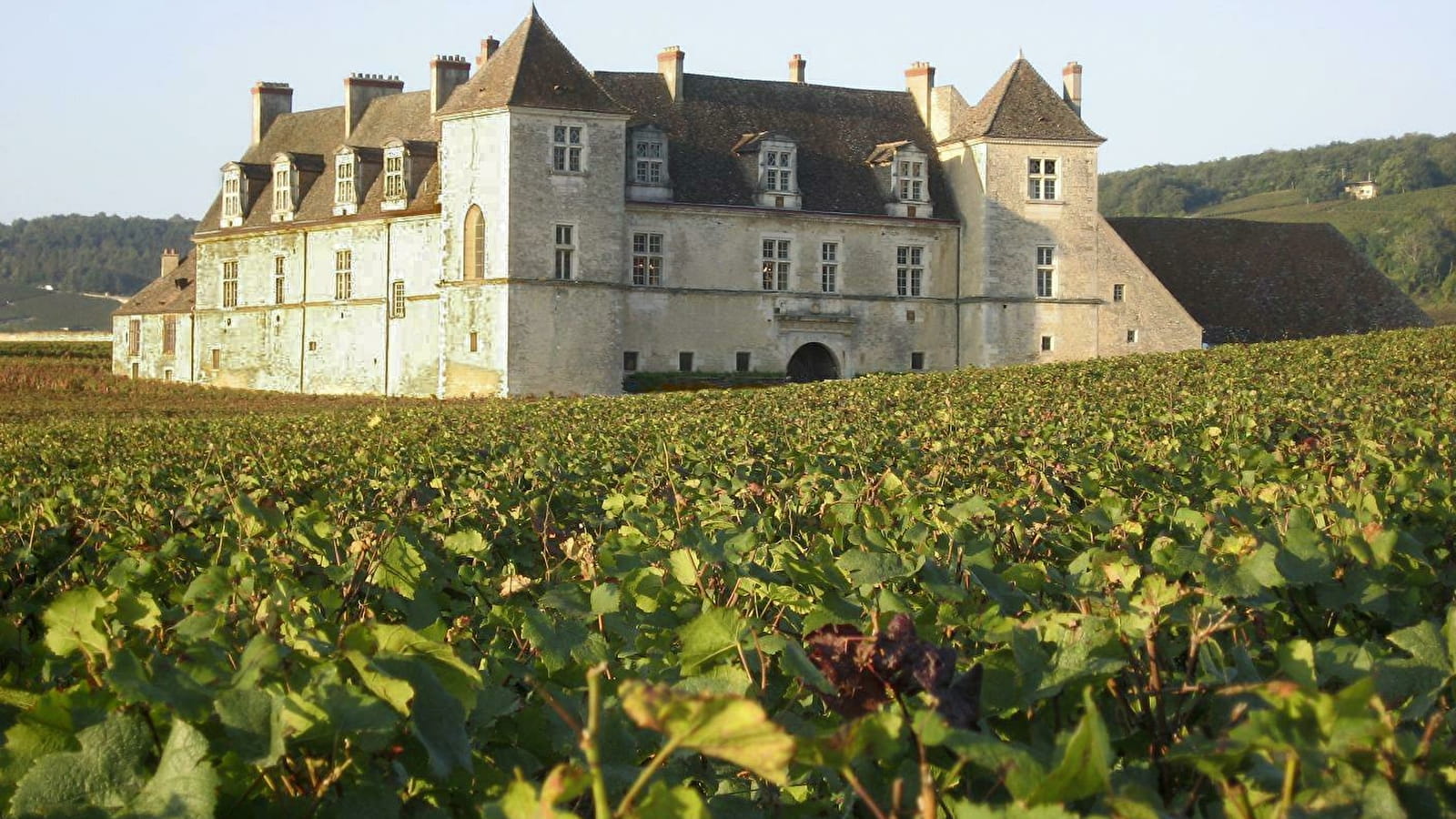 Livres en Vignes