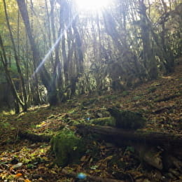 Randonnée - VAL-SUZON