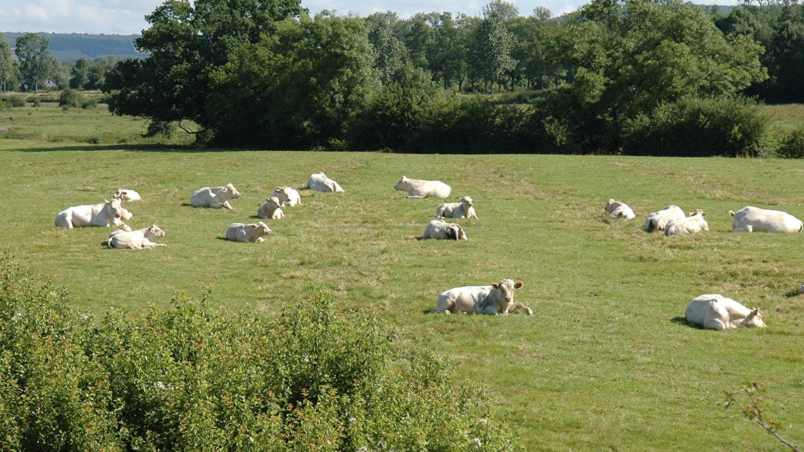 De Frôlois à Corpoyer