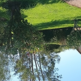 Gîte du pré de l'Ouche - MONTIGNY-SUR-ARMANCON