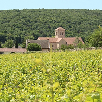 Visite guidée de Gevrey-Chambertin