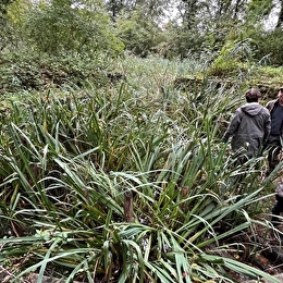 Chantier nature au bois du Ru de Pouilly_ENS2025 - DIJON