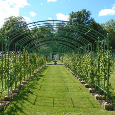 Les vergers-potagers du château de Montigny-sur-Aube