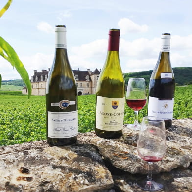 Clos de Bourgogne, les escapades 'secrets de la vigne au vin'