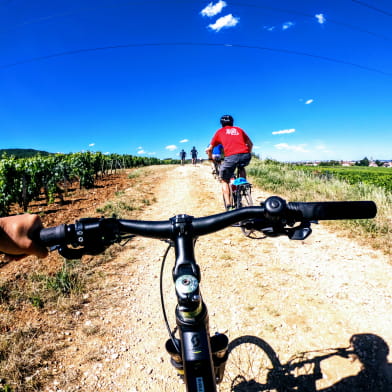 La Vélo Vie